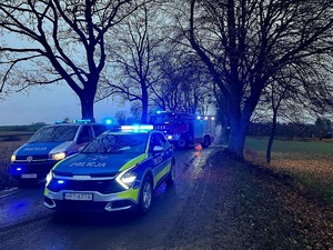 Służby na miejscu wypadku drogowego