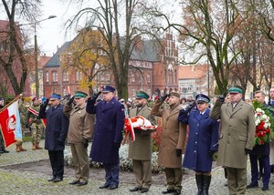 Uroczystość 11 Listopada służby mundurowe